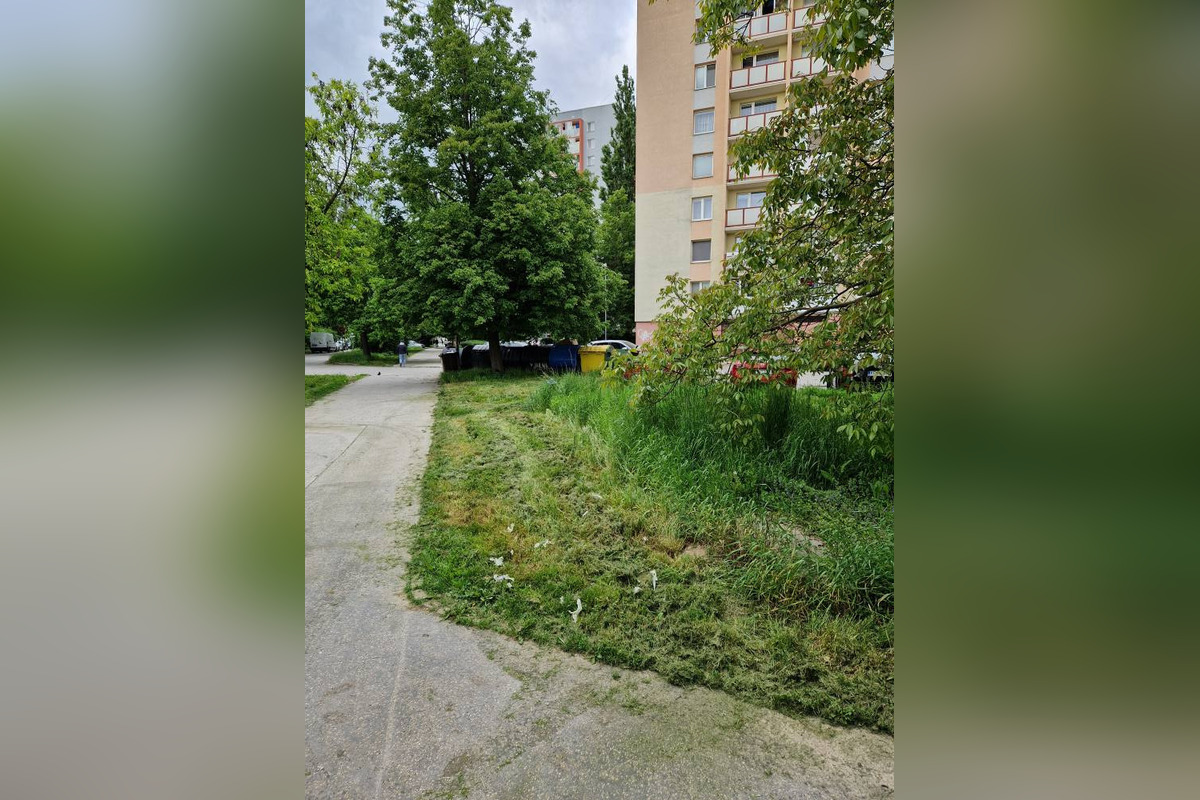 Jazerčania strácajú trpezlivosť s nepokosenou trávou na sídlisku, foto 3