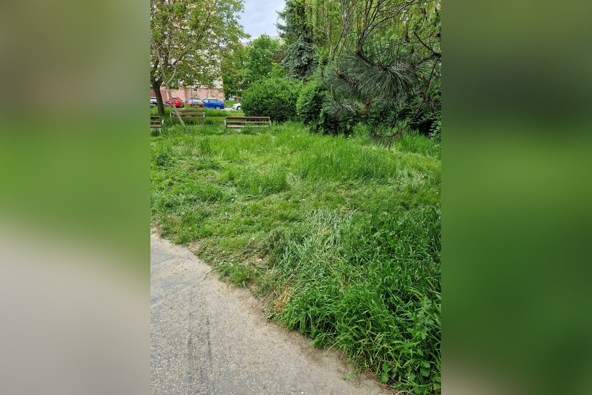 Jazerčania strácajú trpezlivosť s nepokosenou trávou na sídlisku, foto 4