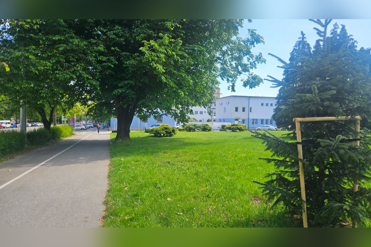 FOTO: Nevyužívaný park na Severe dostane nový nádych, foto 3