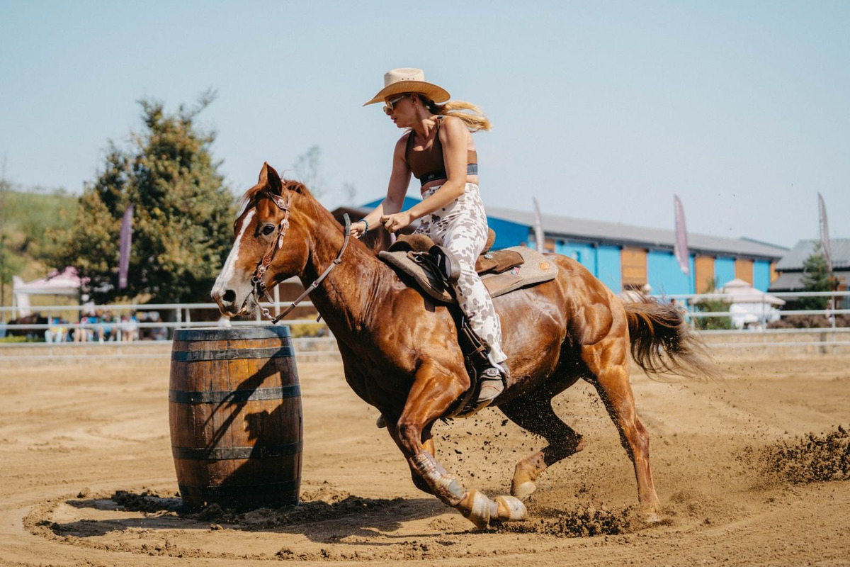 FOTO: Nestville Open Fest 2025, foto 8