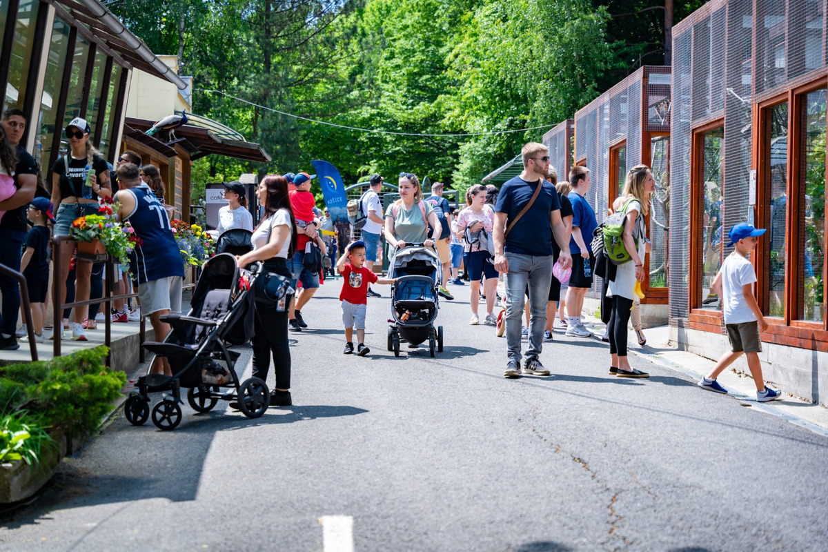 Košické deti si svoj deň poriadne užili , foto 15