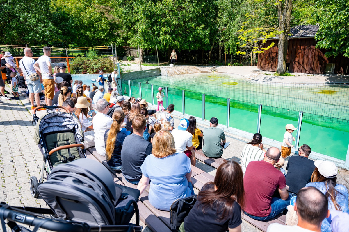 Košické deti si svoj deň poriadne užili , foto 16