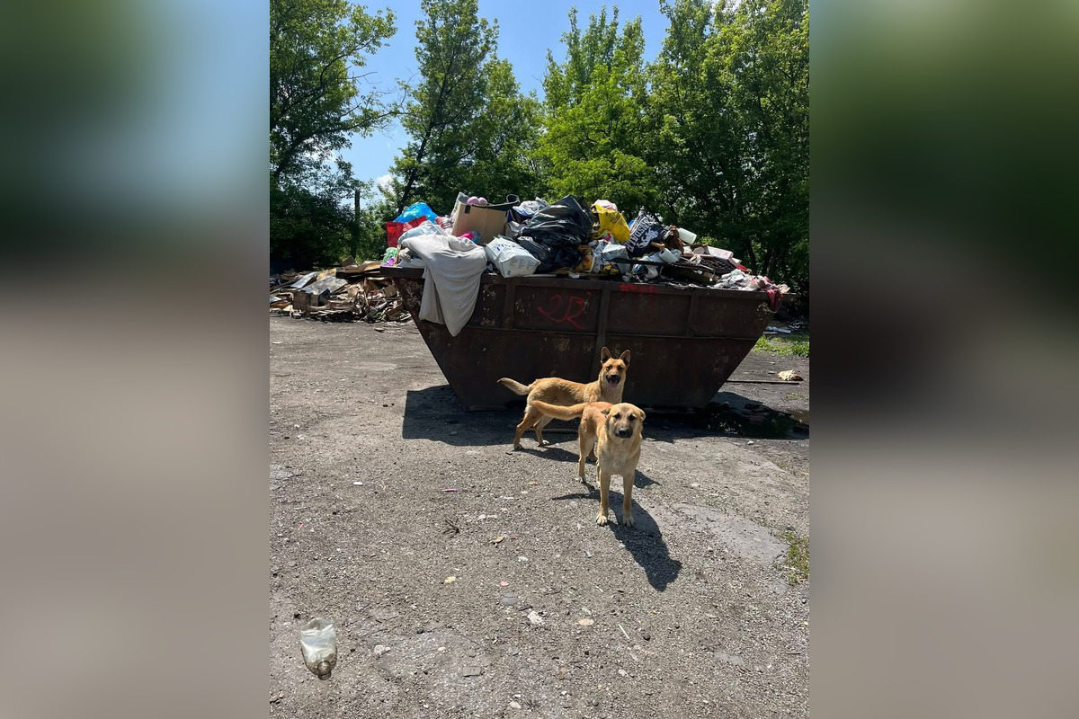 Nelegálne osady na Juhu sú pod drobnohľadom starostky Súkeníkovej, foto 1