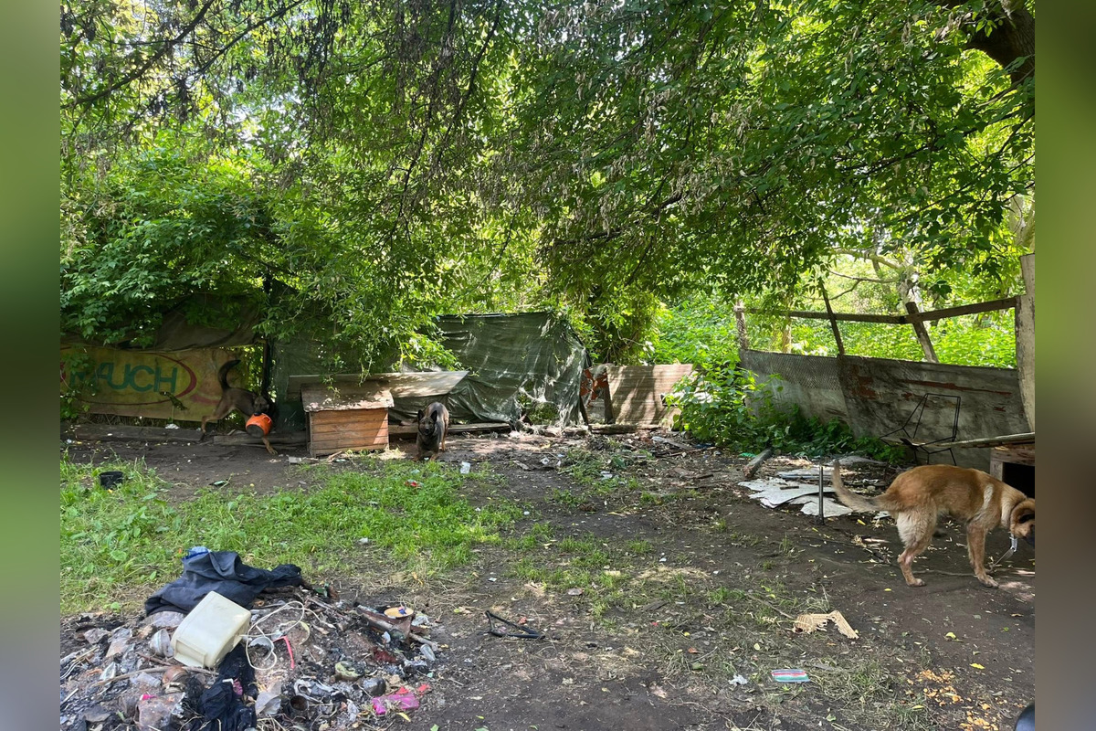 Nelegálne osady na Juhu sú pod drobnohľadom starostky Súkeníkovej, foto 8