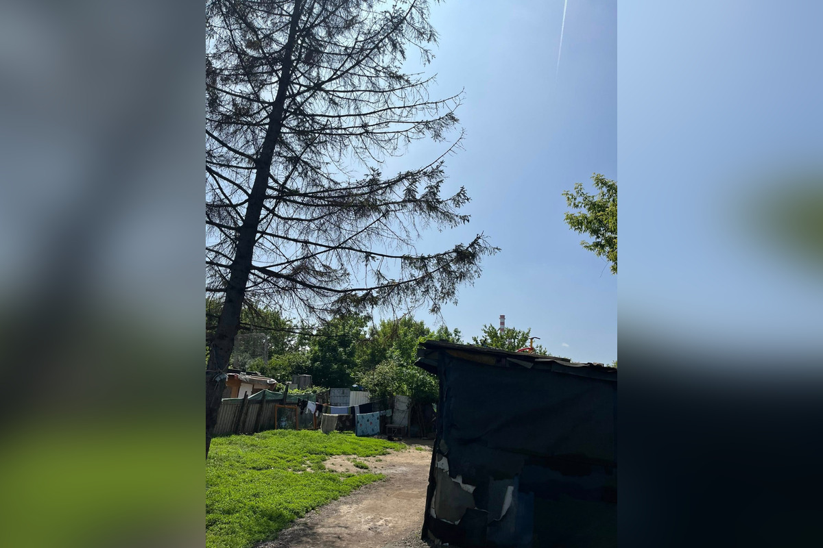 Nelegálne osady na Juhu sú pod drobnohľadom starostky Súkeníkovej, foto 9