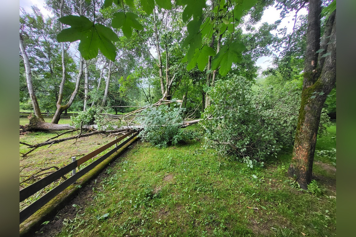 FOTO: počasie, foto 11