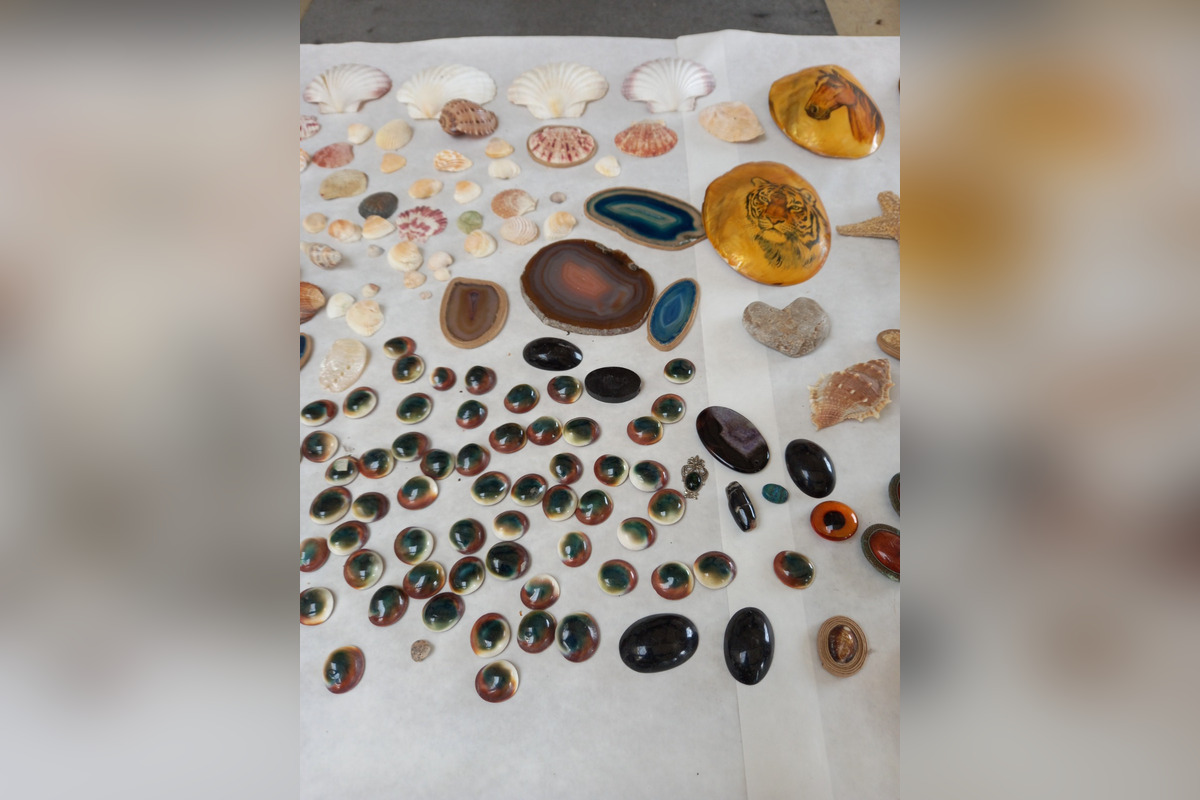 FOTO: Kuriózne úlovky colníkov na Zemplíne, foto 3