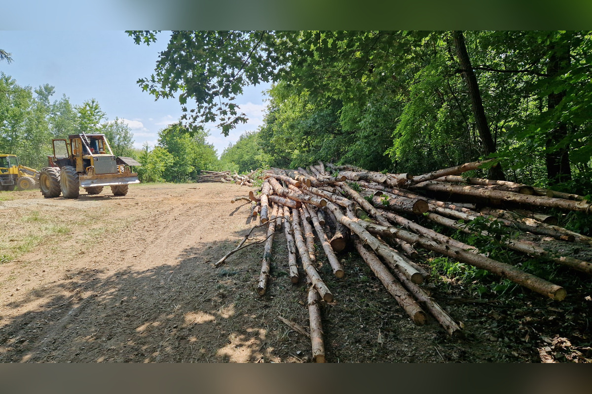 Ťahanovčanom mizne les pred očami, foto 2