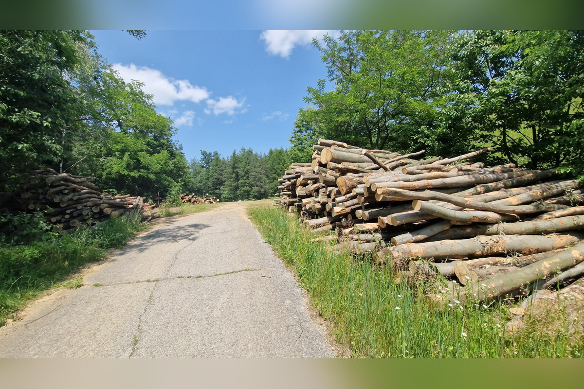 Ťahanovčanom mizne les pred očami, foto 3