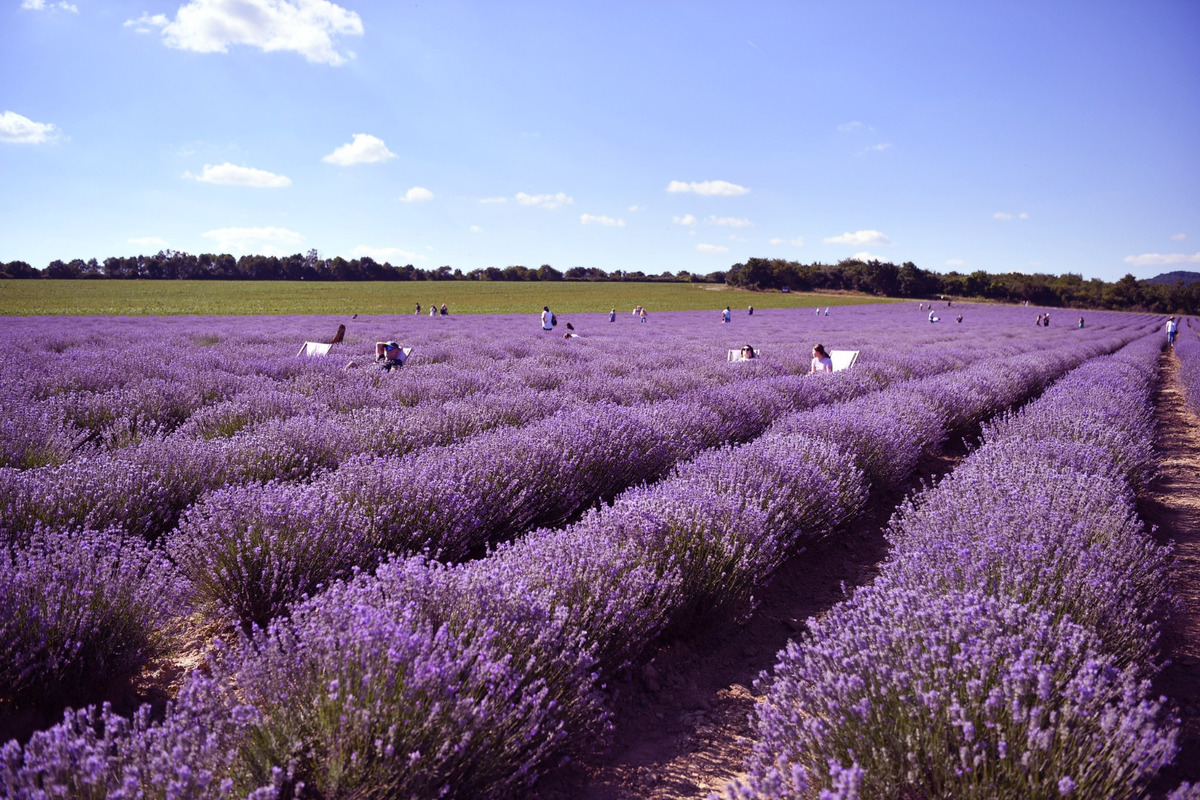 Do Košického kraja prichádzajú cez víkend obľúbené podujatia, foto 1