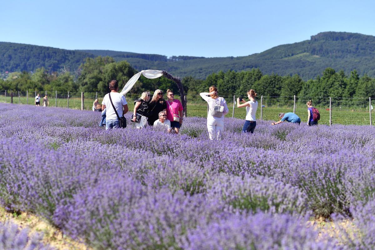 Do Košického kraja prichádzajú cez víkend obľúbené podujatia, foto 6