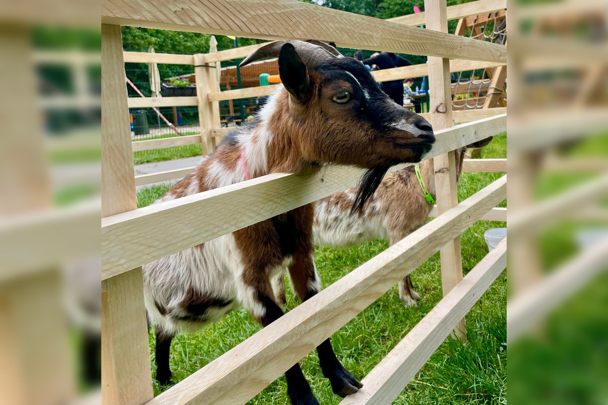Víkendové podujatia v Košickom kraji ponúknu zábavu malým aj veľkým, foto 3