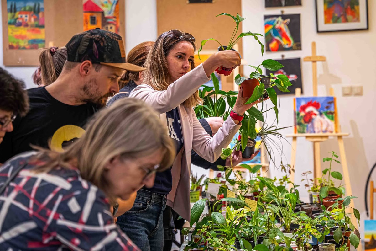Víkendové podujatia v Košickom kraji ponúknu zábavu malým aj veľkým, foto 7