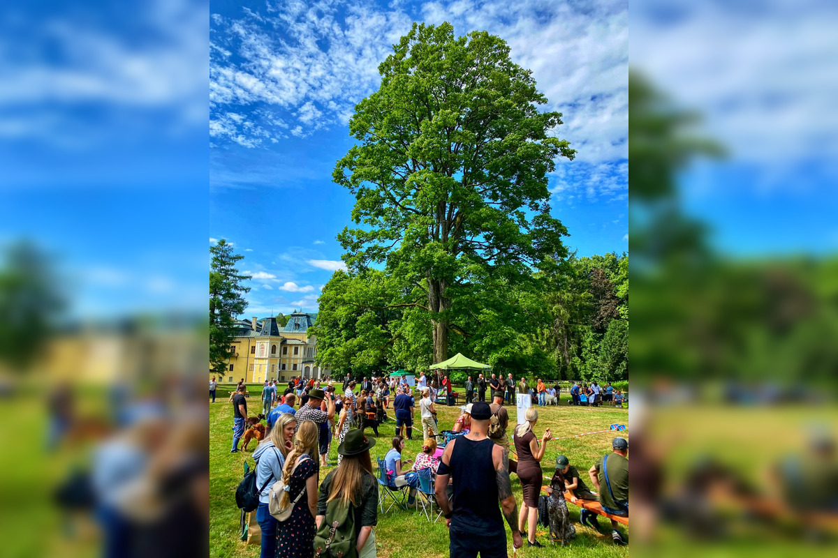 Cez víkend zavítali návštevníci na Poľovnícky deň aj na Valalské oslavy, foto 9