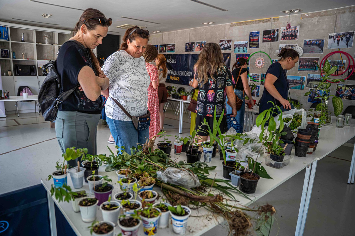 Cez víkend zavítali návštevníci na Poľovnícky deň aj na Valalské oslavy, foto 15