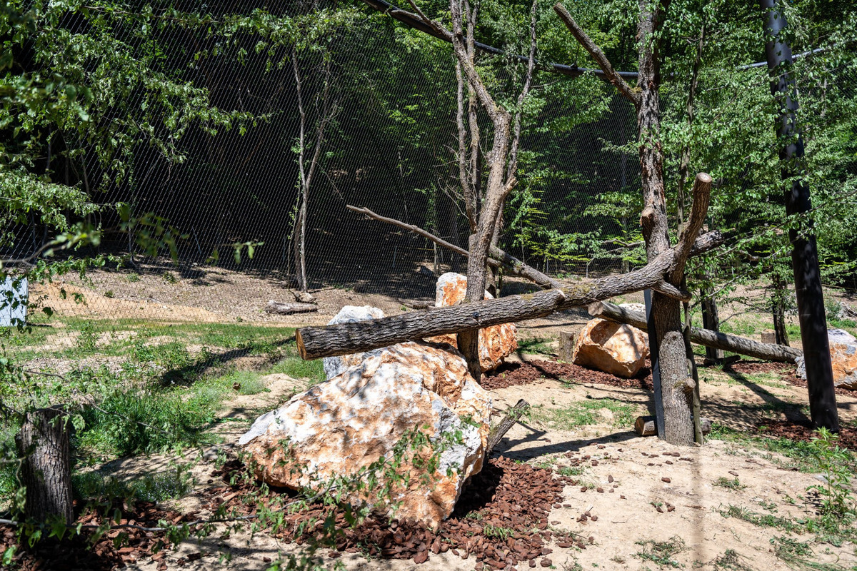 Návštevníci košickej zoo si už užívajú skvelé novinky, foto 4