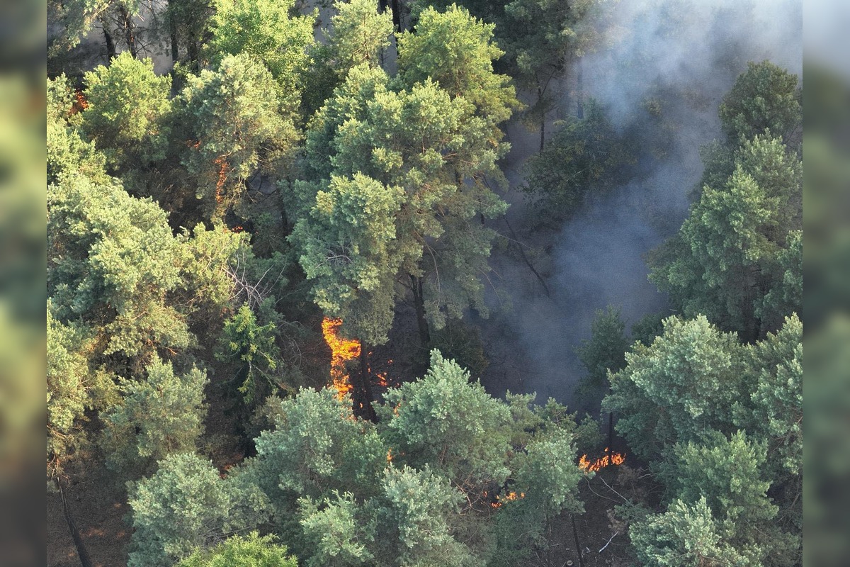 FOTO: V Richnave začal horieť les, na miesto smerovali desiatky hasičov, foto 2