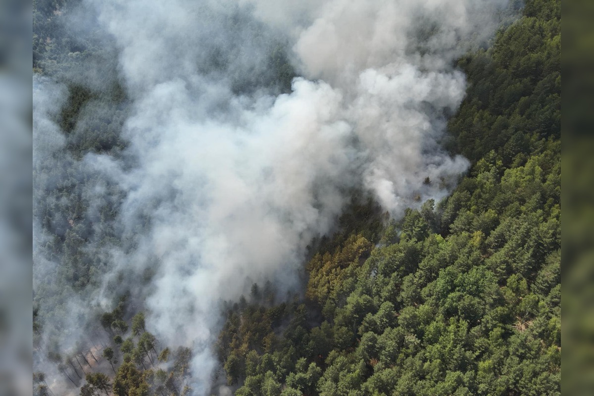 FOTO: V Richnave začal horieť les, na miesto smerovali desiatky hasičov, foto 3