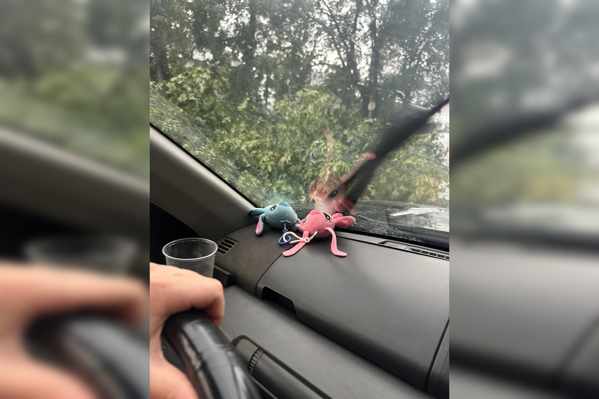 FOTO: Supercela v Košickom kraji zasiahla. Vodiči hlásia neprejazdné úseky, foto 7