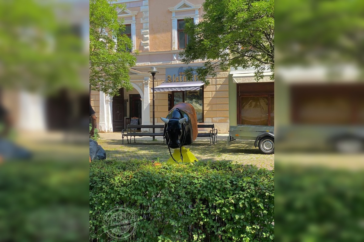 FOTO: Takto vyzerali Spišské Trhy 2024, priniesli tradičné stánky, kolotoče i koncerty, foto 3