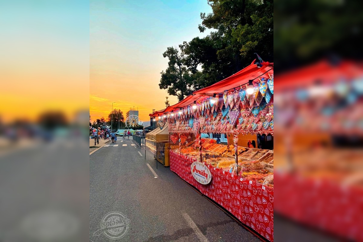 FOTO: Takto vyzerali Spišské Trhy 2024, priniesli tradičné stánky, kolotoče i koncerty, foto 14