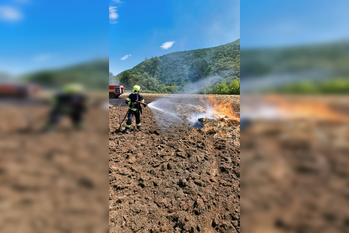 Hasiči uprostred týždňa zasahovali pri Hrušove, foto 2