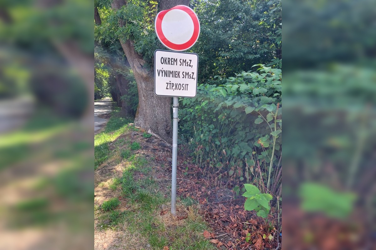 FOTO: Auto DM si to namierilo cez park Anička, foto 3