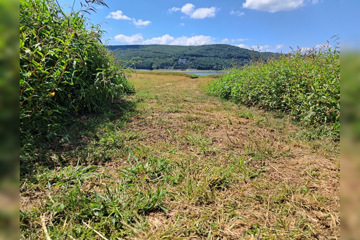 FOTO: Zábery Domaše odhaľujú vyprahnuté miesta, foto 5