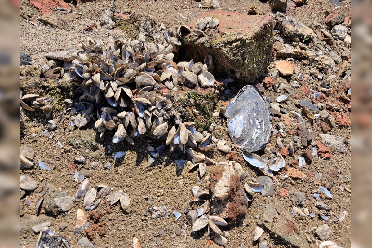 FOTO: Zábery Domaše odhaľujú vyprahnuté miesta, foto 8