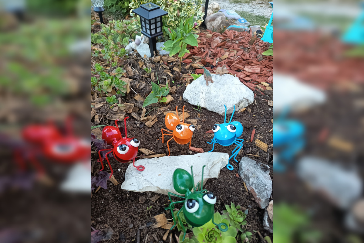 Táto nádherná skalka robila radosť mnohým Ťahanovčanom, foto 1