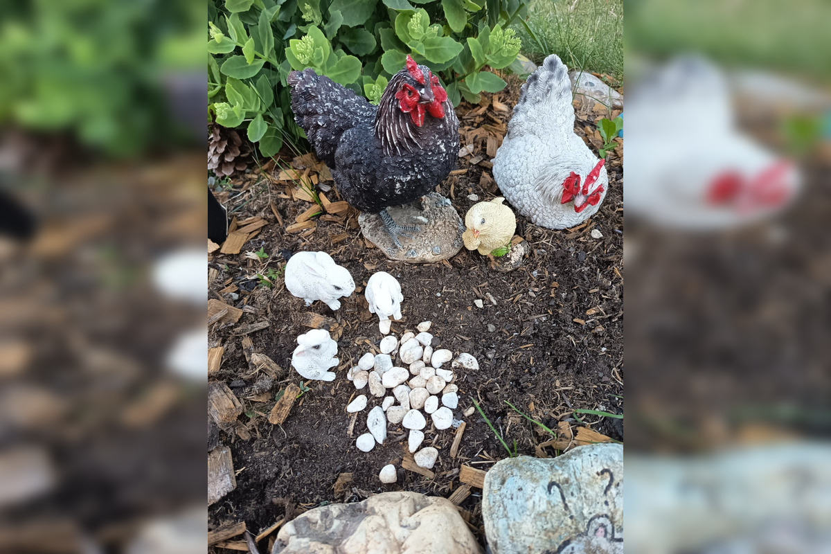 Táto nádherná skalka robila radosť mnohým Ťahanovčanom, foto 3