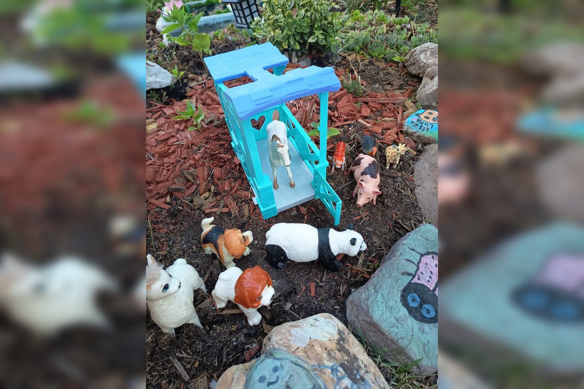 Táto nádherná skalka robila radosť mnohým Ťahanovčanom, foto 7