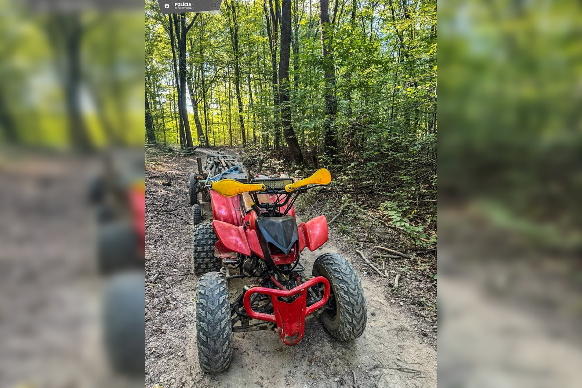 V lese pri Košiciach chceli dvaja muži ukradnúť hraby, polícia ich prichytila pri čine, foto 3