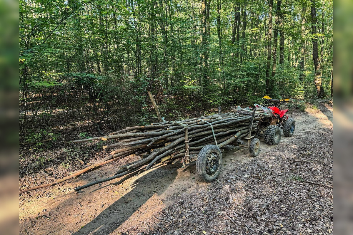 V lese pri Košiciach chceli dvaja muži ukradnúť hraby, polícia ich prichytila pri čine, foto 4