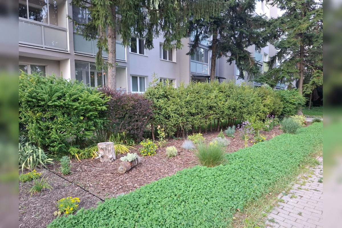 FOTO: Najkrajšie predzáhradky na Terase, foto 3