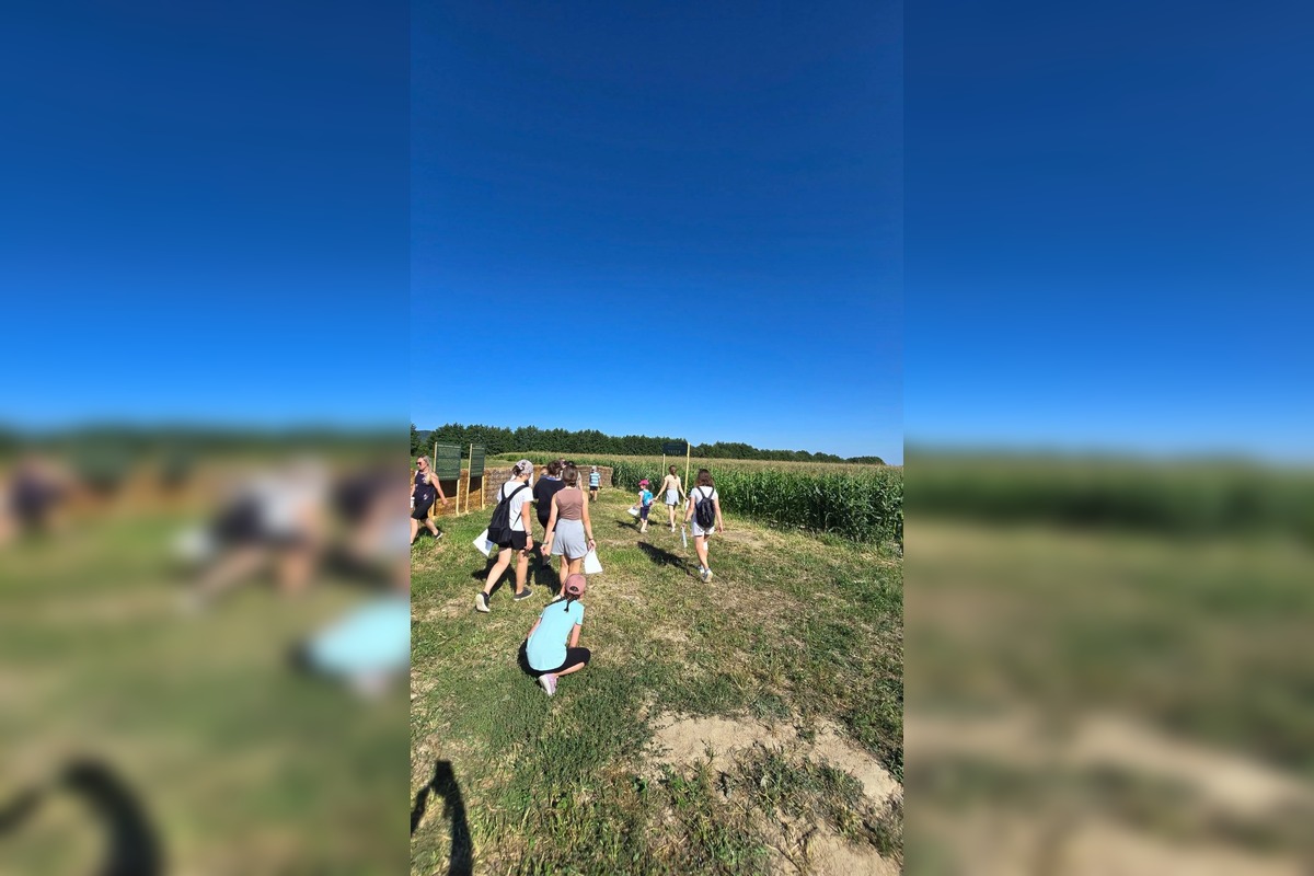 FOTO: Pri Michalovciach vyrástlo kukuričné bludisko, foto 5