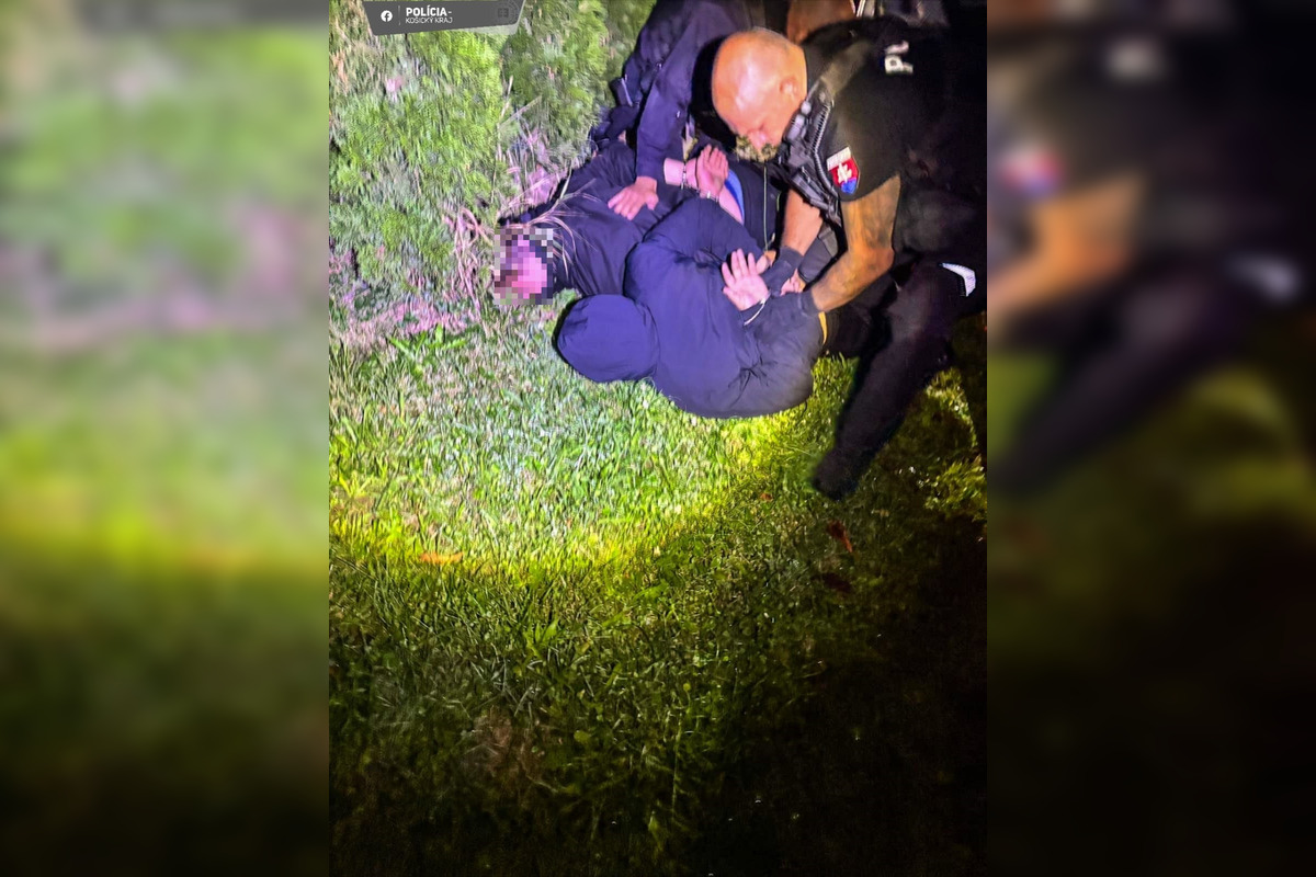 Policajná hliadka pristihla zlodejov priamo pri čine v Seni, foto 5
