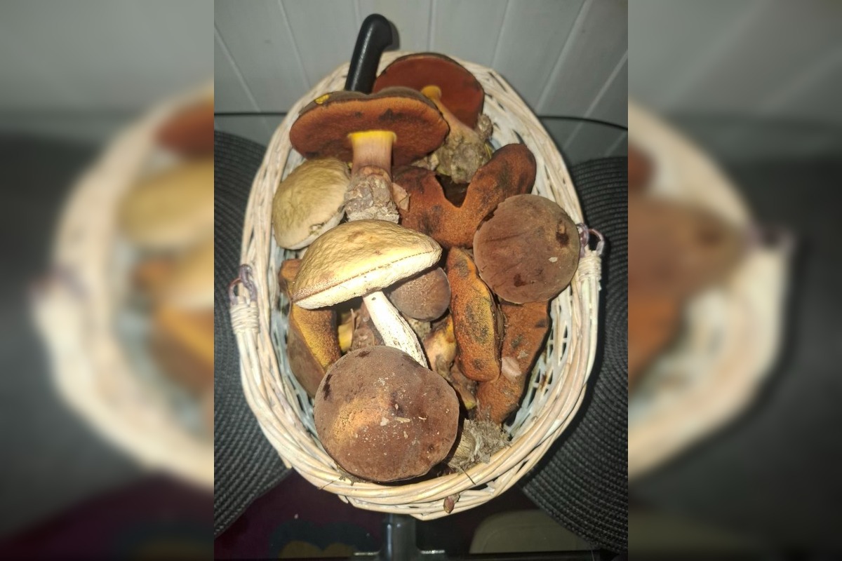 FOTO: Hubárom v okolí Košíc praje počasie , foto 12