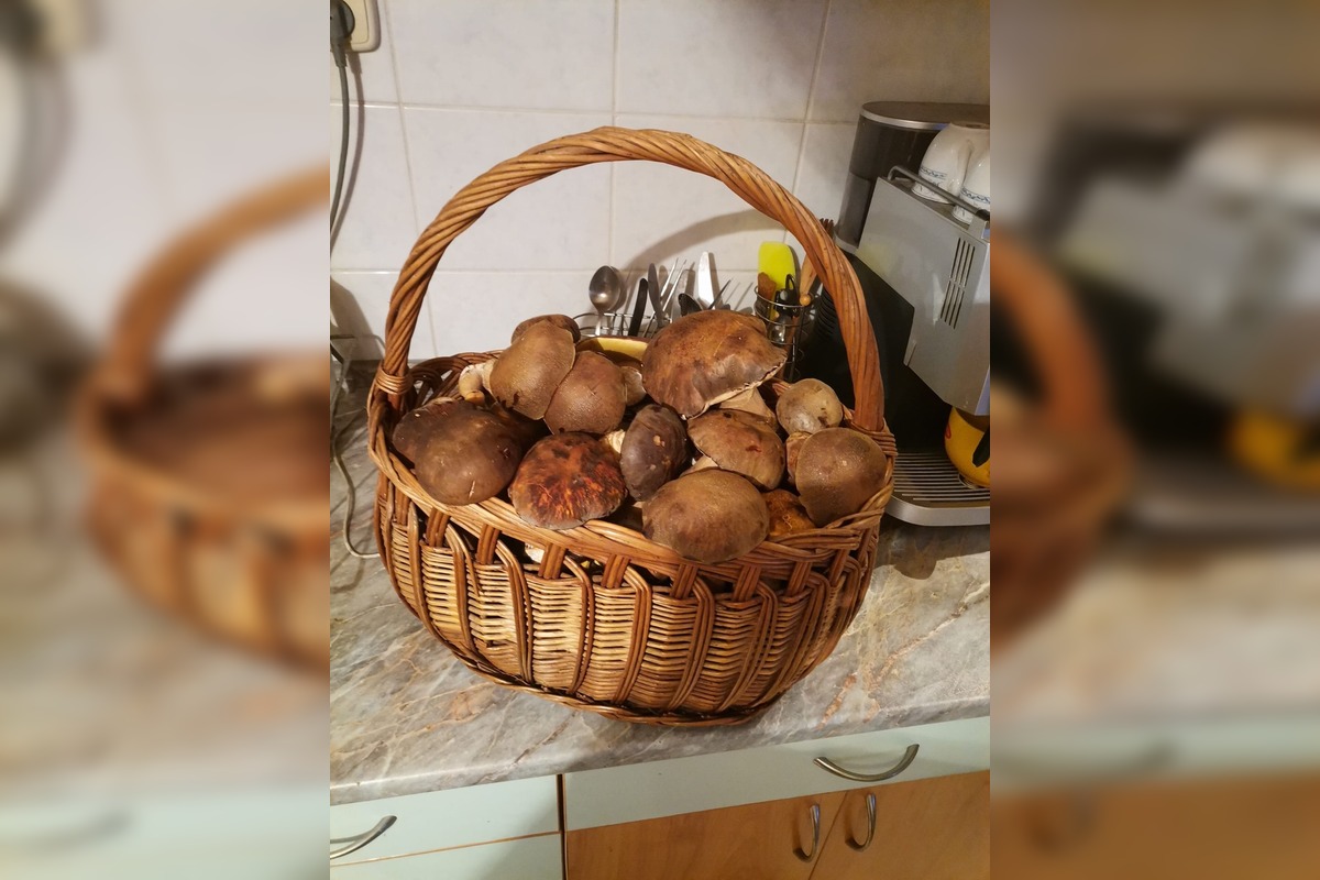 FOTO: Hubárom v okolí Košíc praje počasie , foto 6