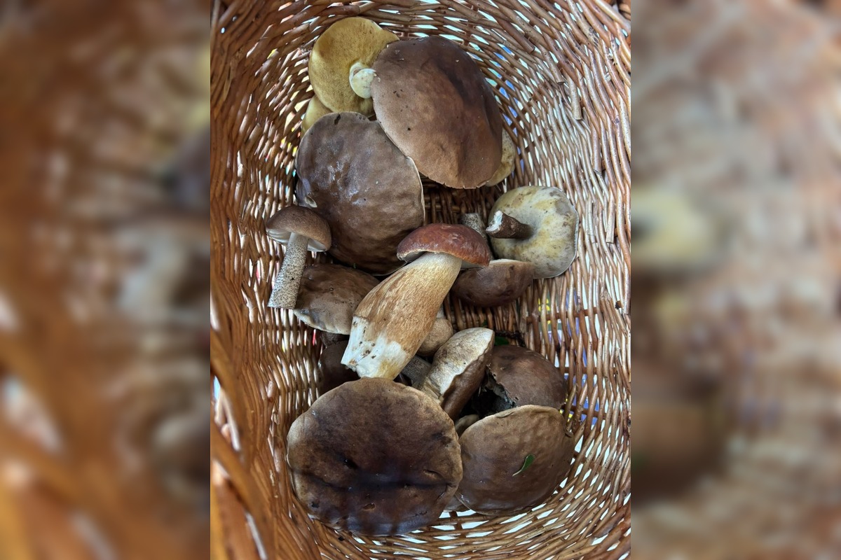 FOTO: Hubárom v okolí Košíc praje počasie , foto 15