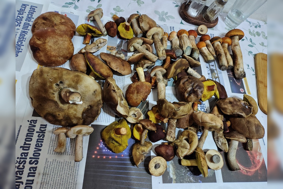 FOTO: Hubárom v okolí Košíc praje počasie , foto 17