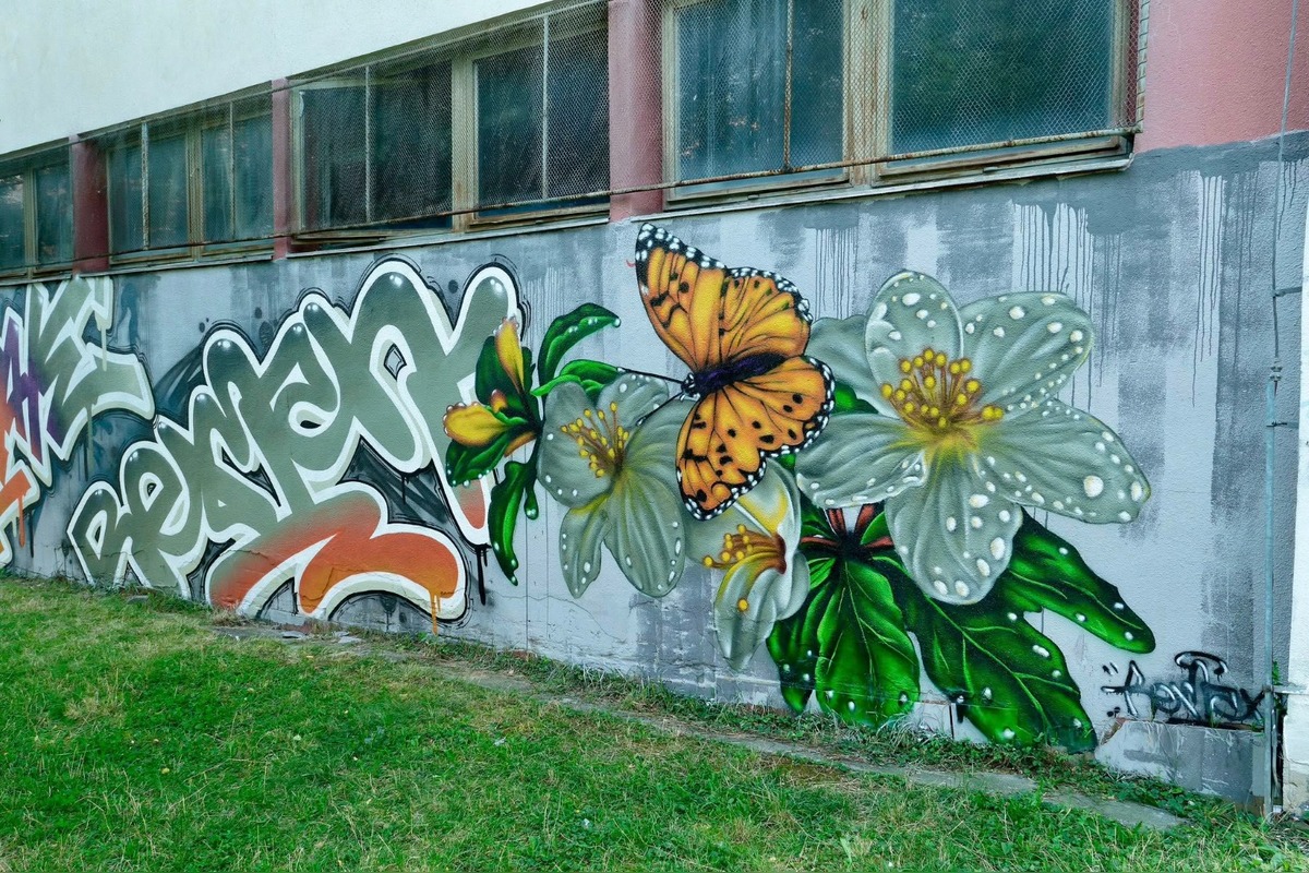 FOTO: Budovy na KVP a v Myslave ožili streetartovým umením, foto 10