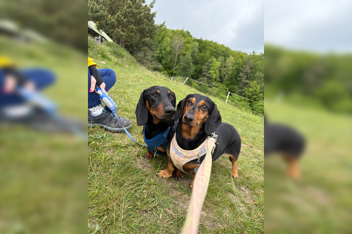 FOTO: Tento víkend sa môžete tešiť na bohatú paletu podujatí, foto 13