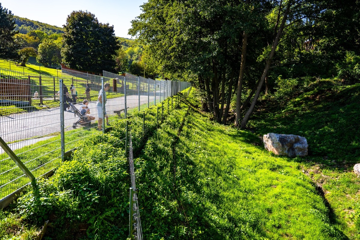 FOTO: Novinky v košickej zoo, foto 7