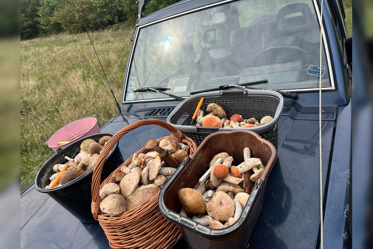 FOTO: Hubárom na východe praskajú košíky vo švíkoch, foto 7