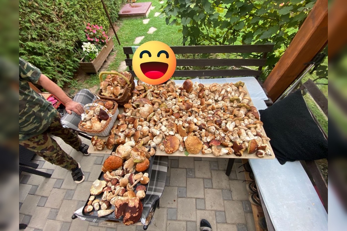 FOTO: Hubárom na východe praskajú košíky vo švíkoch, foto 13