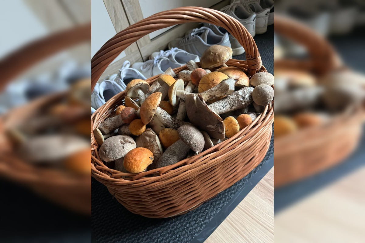 FOTO: Hubárom na východe praskajú košíky vo švíkoch, foto 23