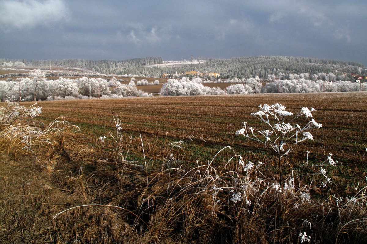 FOTO: Kazimír Štubňa sa fotografii a filmu venoval od útleho detstva, foto 6