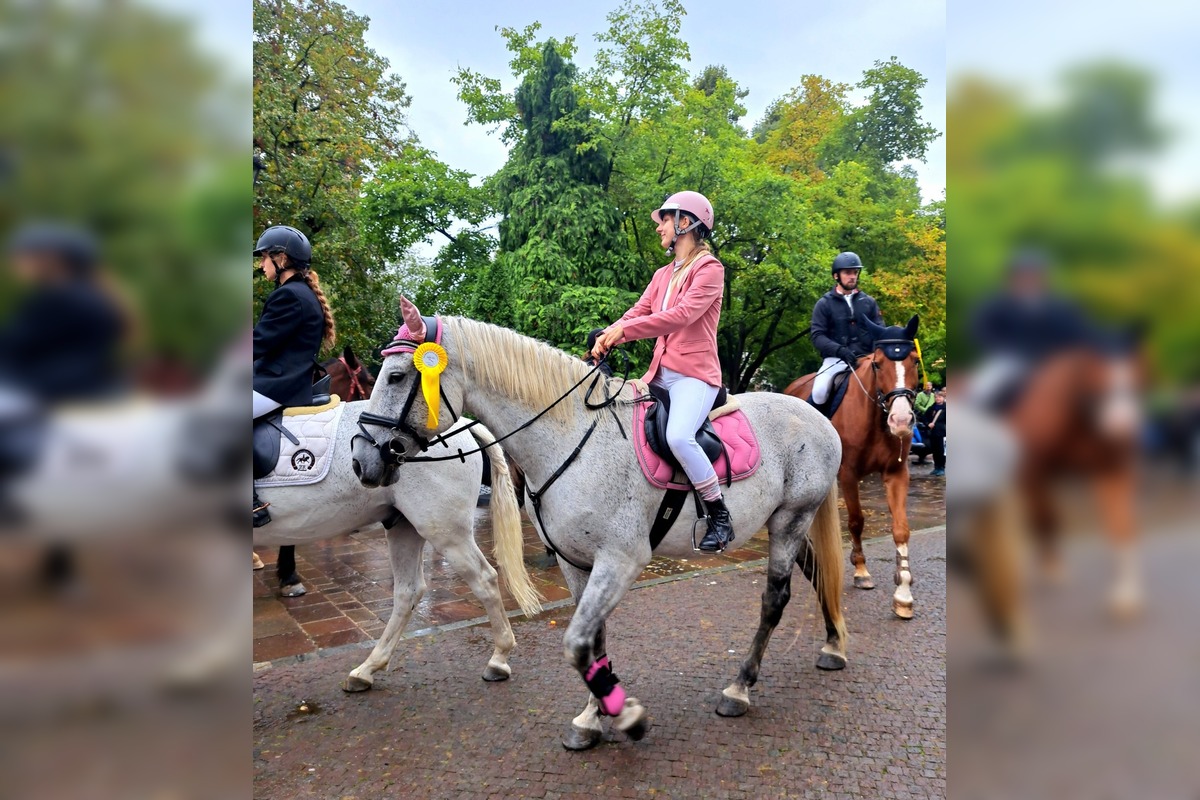 FOTO: Košicami viedol sprievod koní v rámci Hubertovej jazdy, foto 2