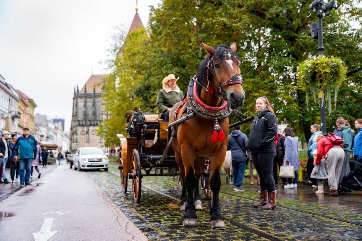 FOTO: Košicami viedol sprievod koní v rámci Hubertovej jazdy, foto 11